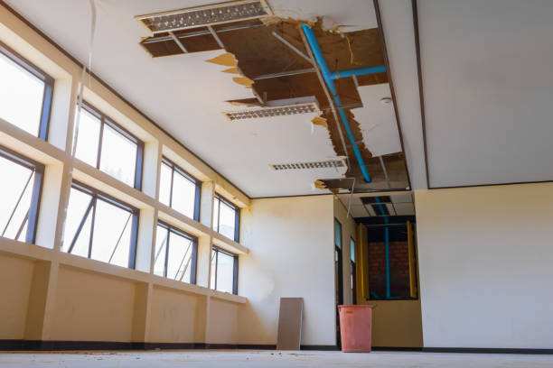 Best Mold removal after water damage  in Saranac Lake, NY