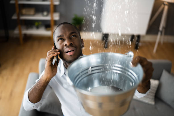 Best Ceiling water damage repair  in Saranac Lake, NY