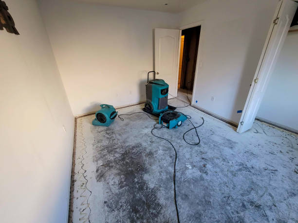  Saranac Lake, NY Water damage restoration Pros